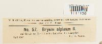 Bryum alpinum image
