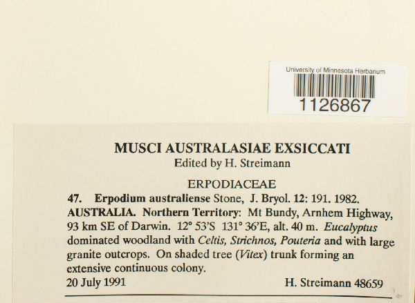 Erpodium australiense image