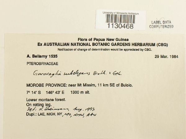 Garovaglia subelegans image