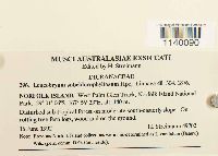 thumbnail image of current specimen
