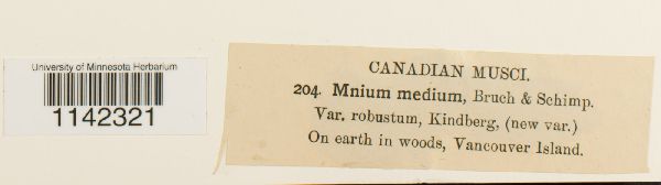 Mnium affine var. medium image