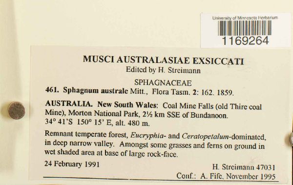 Sphagnum australe image