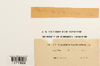thumbnail image of current specimen