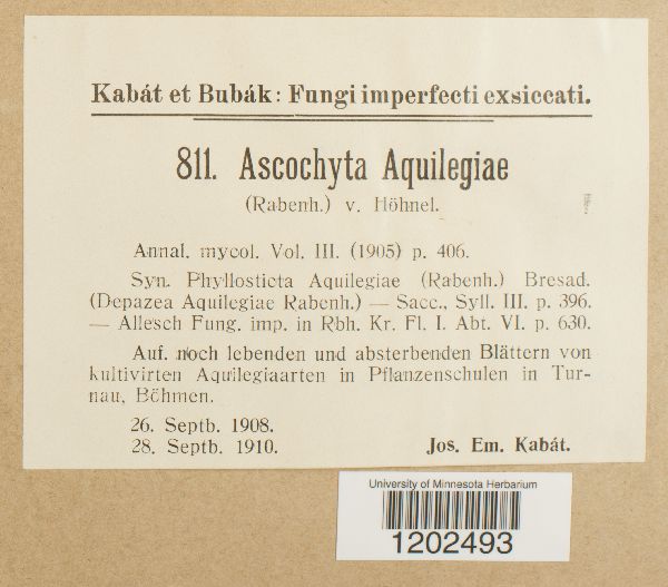 Ascochyta aquilegiae image