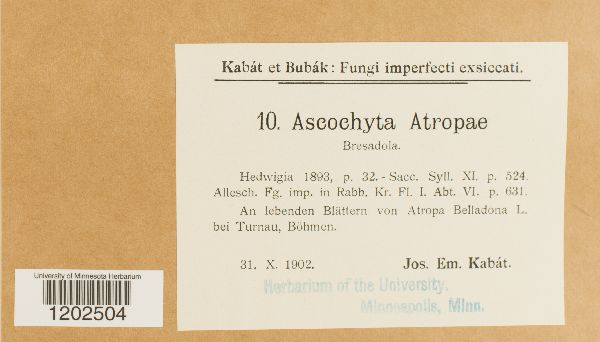 Ascochyta atropae image