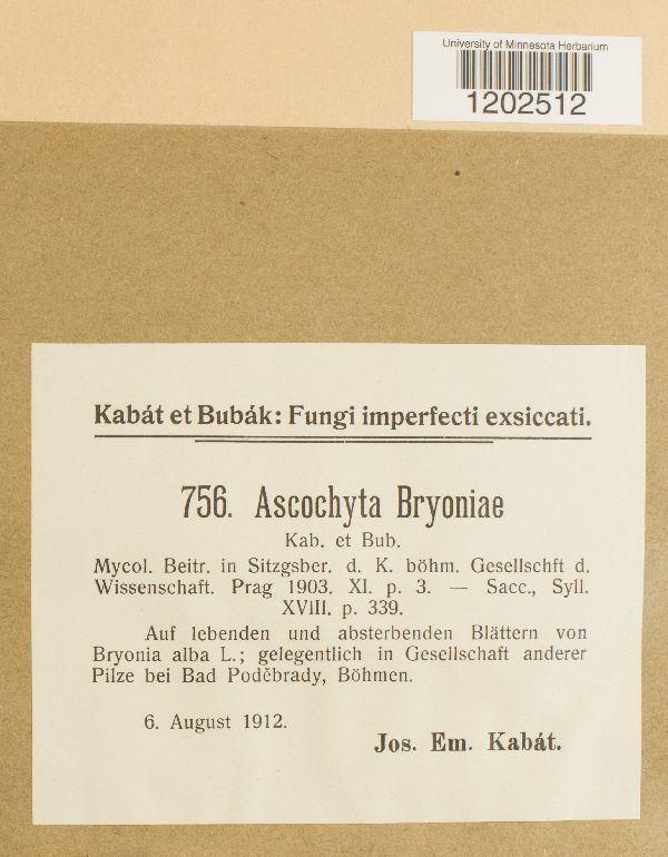 Ascochyta bryoniae image