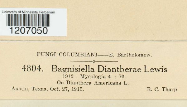 Bagnisiella diantherae image