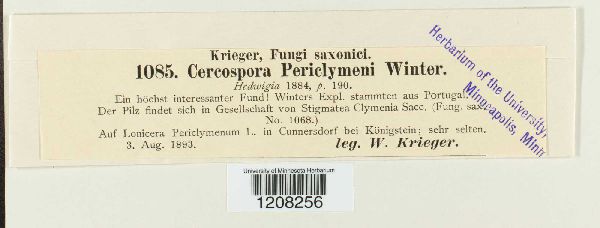 Passalora periclymeni image