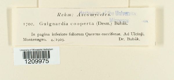 Guignardia cooperta image