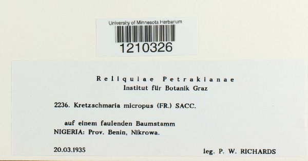 Kretzschmaria micropus image