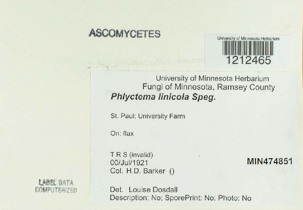 Mycosphaerella linicola image