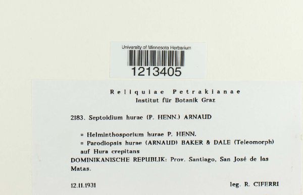 Septoidium image