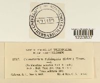 Image Associated With the Occurence