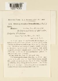 Image Associated With the Occurence