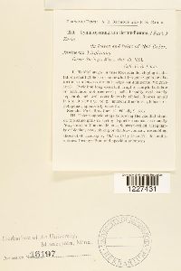 Image Associated With the Occurence