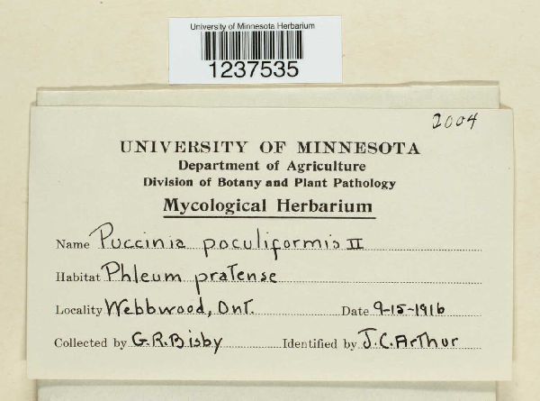 Puccinia graminis ssp. graminicola image