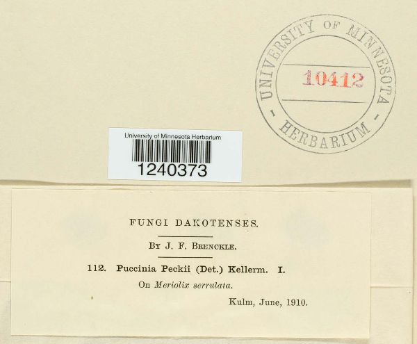 Puccinia peckii image
