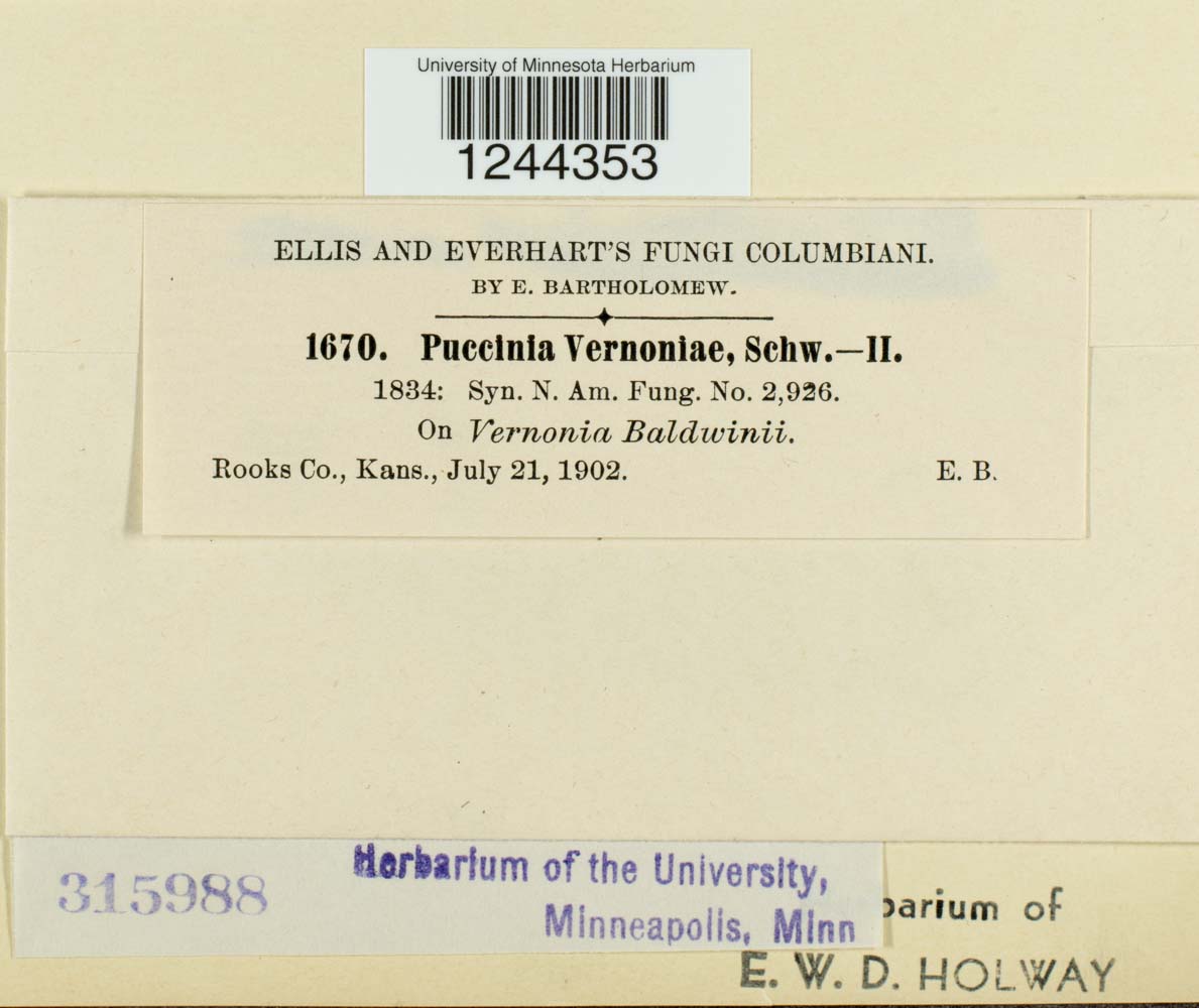 Puccinia vernoniae image