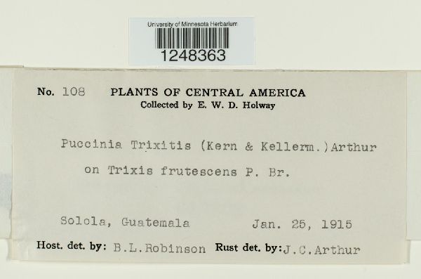 Puccinia trixitis image