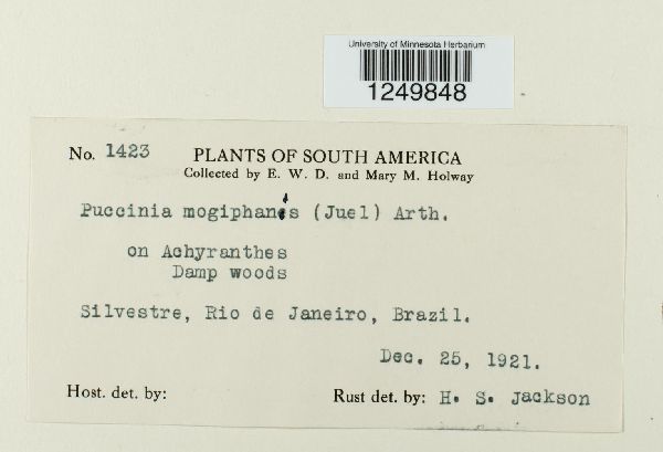 Puccinia mogiphanis image