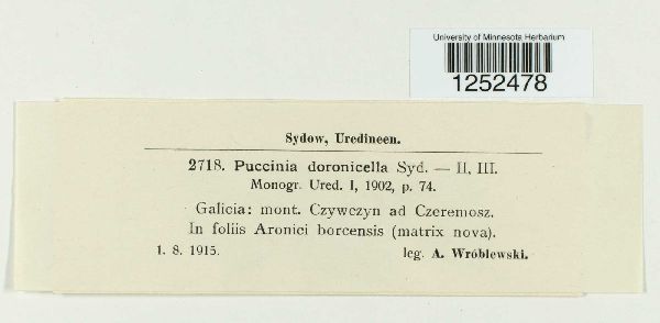 Puccinia doronicella image