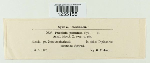 Puccinia permixta image