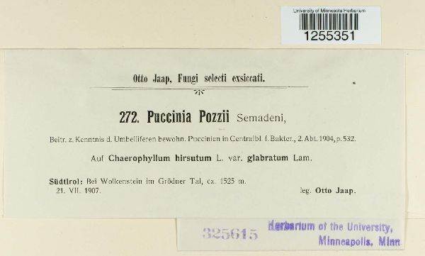 Puccinia pozzii image