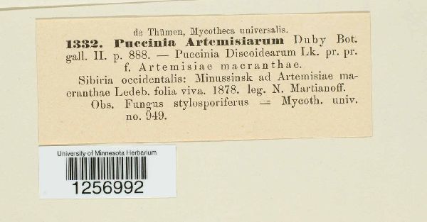 Puccinia artemisiarum image