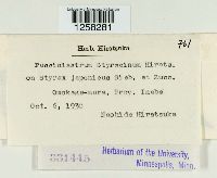 Pucciniastrum styracinum image