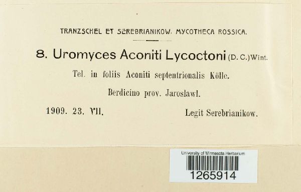 Uromyces aconiti-lycoctoni image