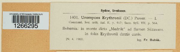 Uromyces erythronii image