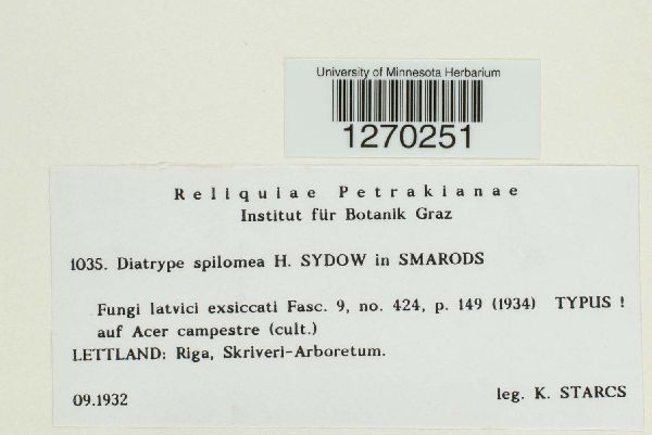 Diatrype spilomea image