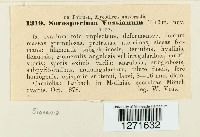 Sorosporium vossianum image