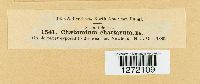Chaetomium globosum image