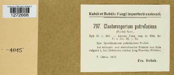 Clasterosporium putrefaciens image