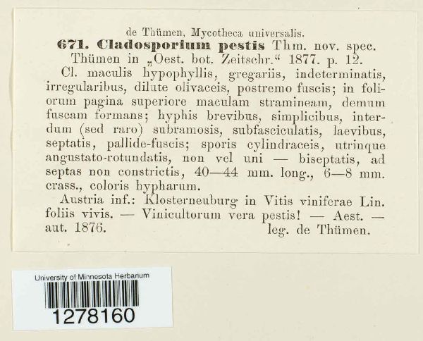 Cladosporium pestis image