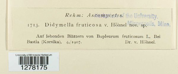 Didymella fruticosae image