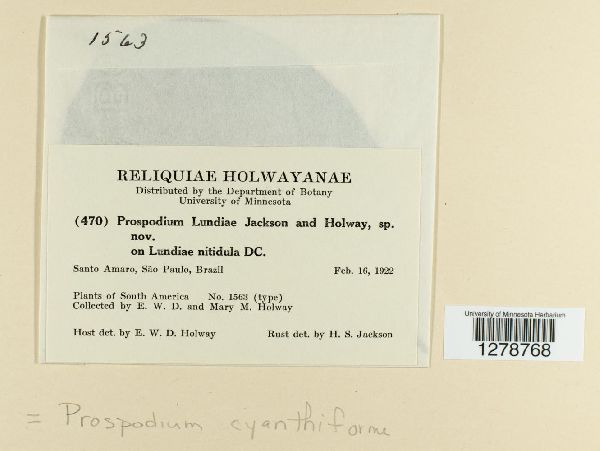 Prospodium cyathiforme image
