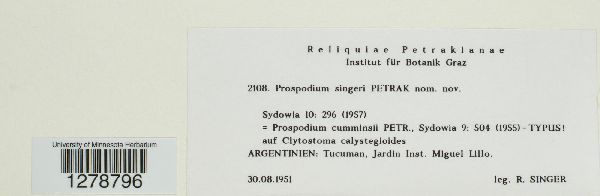 Prospodium singeri image