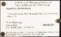 Agaricus diminutivus image