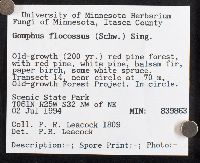 Gomphus floccosus image